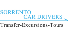 realizzazione sito car service